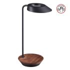 Ландшафтные светильники; Настольные лампы