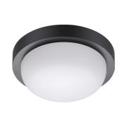 358015 STREET NT19 784 черный Ландшафтный светильник IP65 LED 4000К 12W 220V OPAL