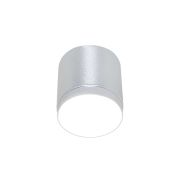 Потолочный светильник Technical C088CL-GX53-S