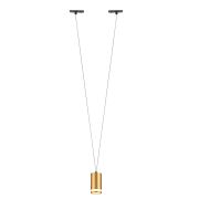 Crystal Lux Светильник однофазный Crystal Lux CLT 0.31 014 GO