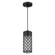 4834/1 NATURE ODL21 706 черный/стекло Ландшафтный светильник-подвес E27 1*60W IP44 DUNES