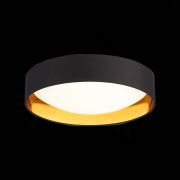SLE201102-01 Светильник потолочный Черный, Золотистый/Белый LED 1*24W 4000K ORBIO