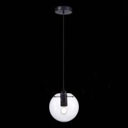 SL1056.403.01 Подвес ST-Luce Черный/Прозрачный E27 1*60W NOOR