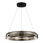 SL6019.333.01 Светильник подвесной ST-Luce Черный/Дымчатый, Белый LED 1*36W 3000K FORAY