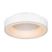 Потолочный светильник Freya FR6118CL-L45W