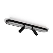 Потолочный светильник Freya FR6088CL-L48B