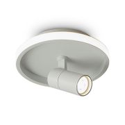 Потолочный светильник Freya FR6040CL-L14W