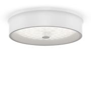 Потолочный светильник Freya FR10011CL-L24W