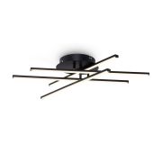 Потолочный светильник Freya FR6036CL-L40B