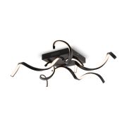 Потолочный светильник Freya FR6022CL-L50B