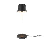 Аккумуляторный светильник Maytoni MOD494RL-L1BK